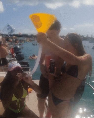 Party Summer GIF by Belligerent Bermuda