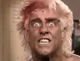 Ric Flair Interview GIF