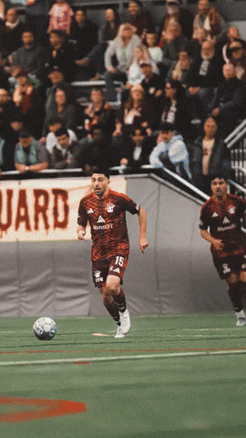Dcfc GIF by Detroit City FC