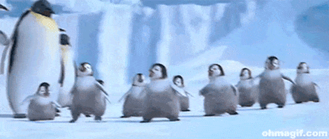 penguin dancing GIF