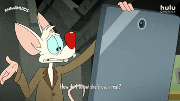 Confused Pinky And The Brain GIF by HULU