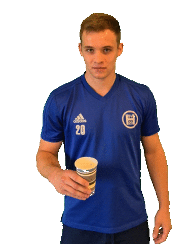 Hsv Sticker by SVHeek