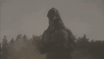 Godzilla Vs King Ghidorah GIF
