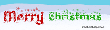 Merry Christmas Happy Holidays GIF by TimothysLessons