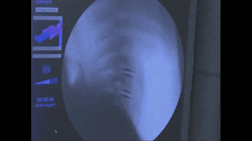 GIF by Muldrow Marketing