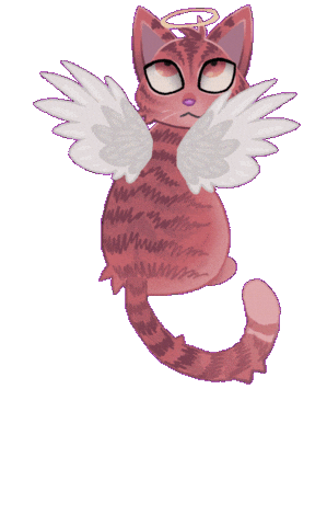 Fly High Cat Sticker