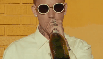 Slide Thru Black Bear GIF