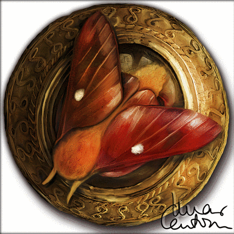 marcanton digitalart marcanton GIF