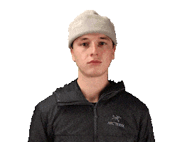 THE HEAT COMPANY Sticker