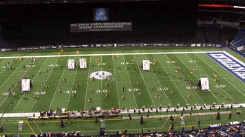 Dci GIF