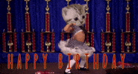 Funny Birthday Gifs Get The Best Gif On Giphy Funny Birthday Gifs Get The Best Gif On Giphy