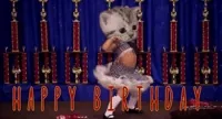 happy birthday GIF