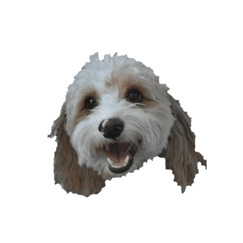Happy Sticker by doodlepro