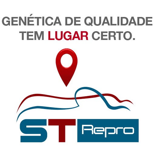 ST Repro Sticker