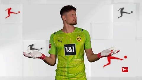 Borussia Dortmund What GIF
