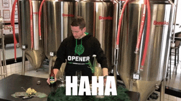 TeunOpener craftbeer brewery proost beergeek GIF