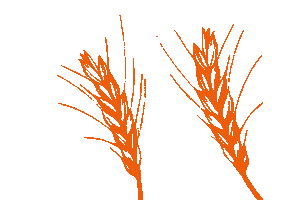 Illustration Loop Sticker by Brandt Zwieback