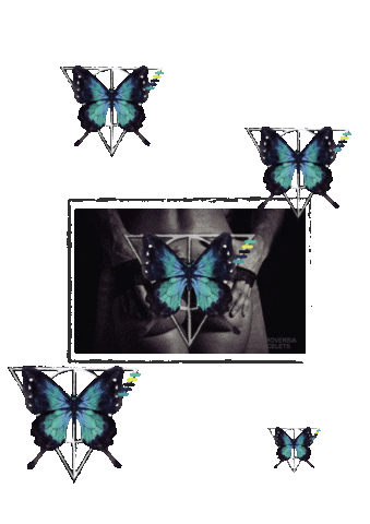 Butterfly Effect Sticker by Controversia Bracelets