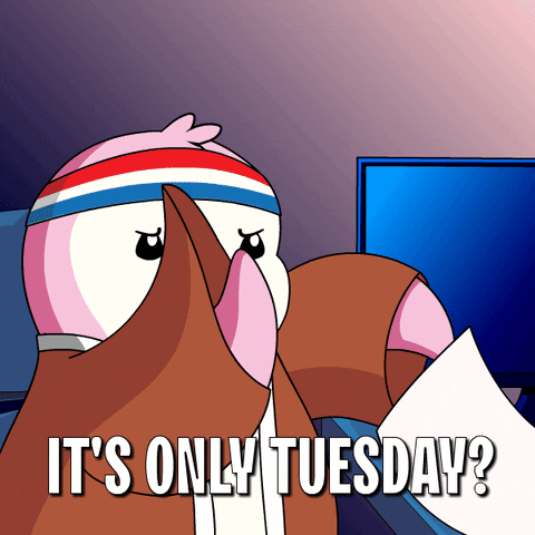 Frustrated Tuesday Morning GIF by Pudgy Penguins