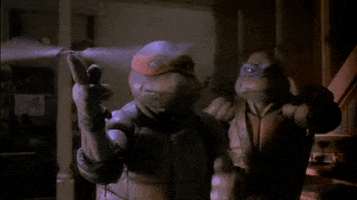 teenage mutant ninja turtles nbd GIF