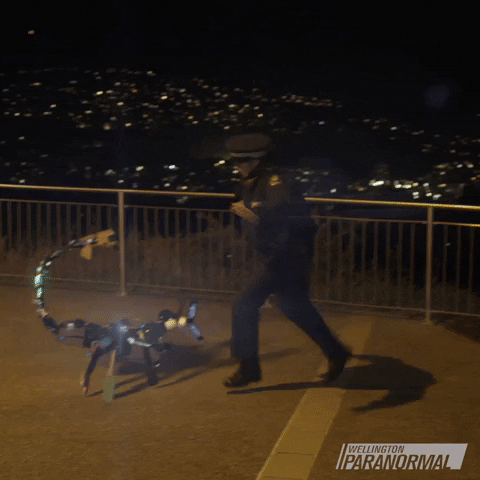 Robot Fall Over GIF by Wellington Paranormal