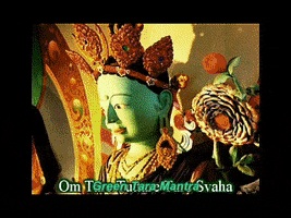 frasertrevor mantra GIF