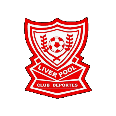 Futbolsanjavier Sticker