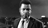 maudit sidney poitier paris blues