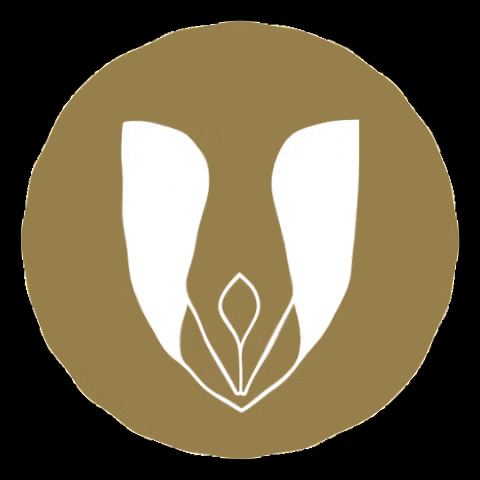 Cartório de Balsas - Segundo Ofício GIF