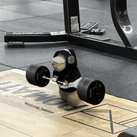 Workout Gym GIF
