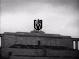 No Means No Carolina Hurricanes GIF