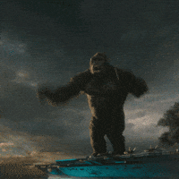200.gif
