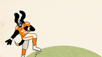 Football Sport GIF by University of Tennessee, Knoxville Alumni