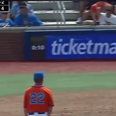 Gators GIF