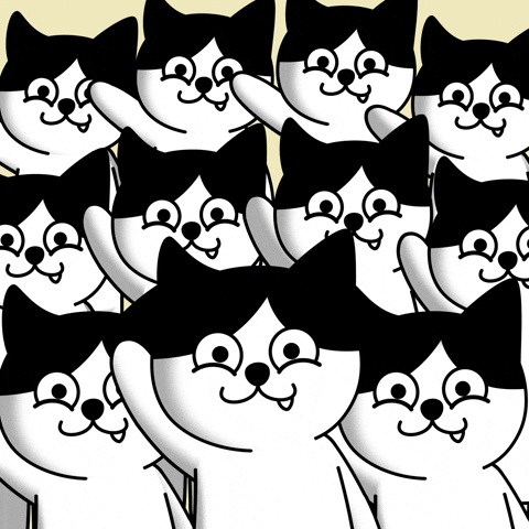 Crypto Hello GIF by Moca Network