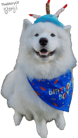 Happy Birthday Sticker