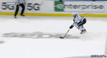 Excited Ice Hockey GIF by Dallas Stars