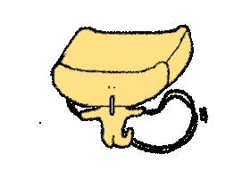 Jump Crossfit Sticker