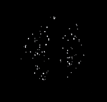 HydroGarden GIF
