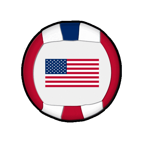 United States Ball Sticker by Swiss Dodgeball