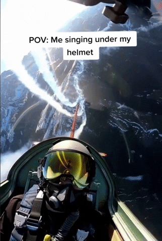 Pilot GIF