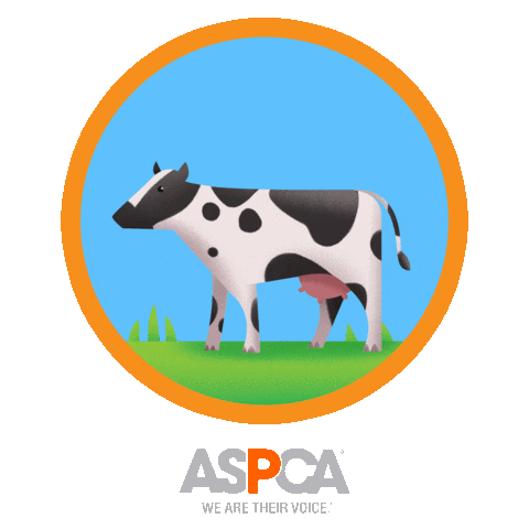 Dairy Cow Sticker By Aspca For Ios Android Giphy