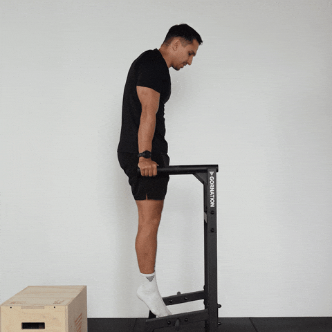 Calisthenics Exercises GIF