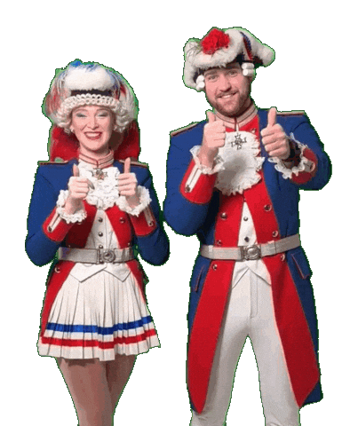 Bonn Fastelovend Sticker by BSTC