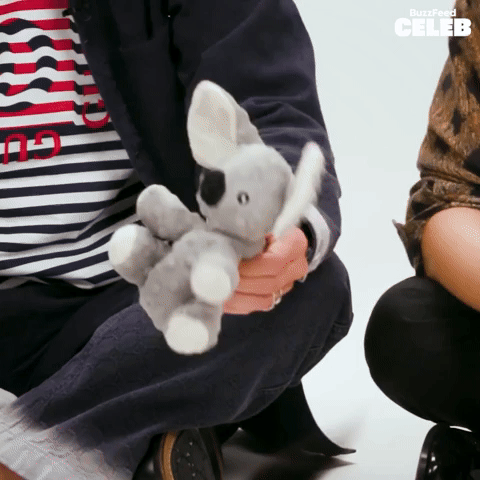 Squeaky Toy