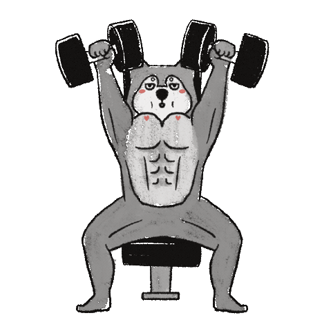 Workout Gym Sticker