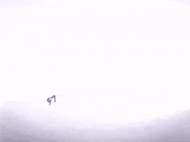 Mango Kendrick GIF