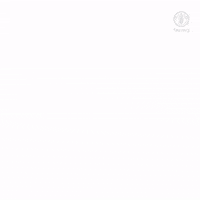 Worldbeeday Gifs Get The Best Gif On Giphy Worldbeeday Gifs Get The Best Gif On Giphy