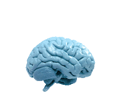 Digital Info Sticker