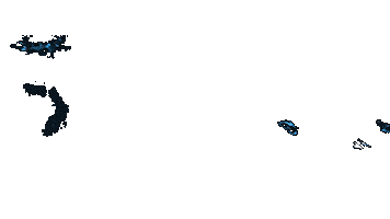 Blue Morpho Lash Sticker